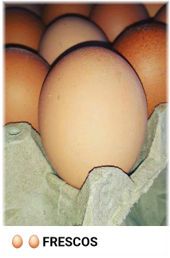 Panal de huevo  AAA