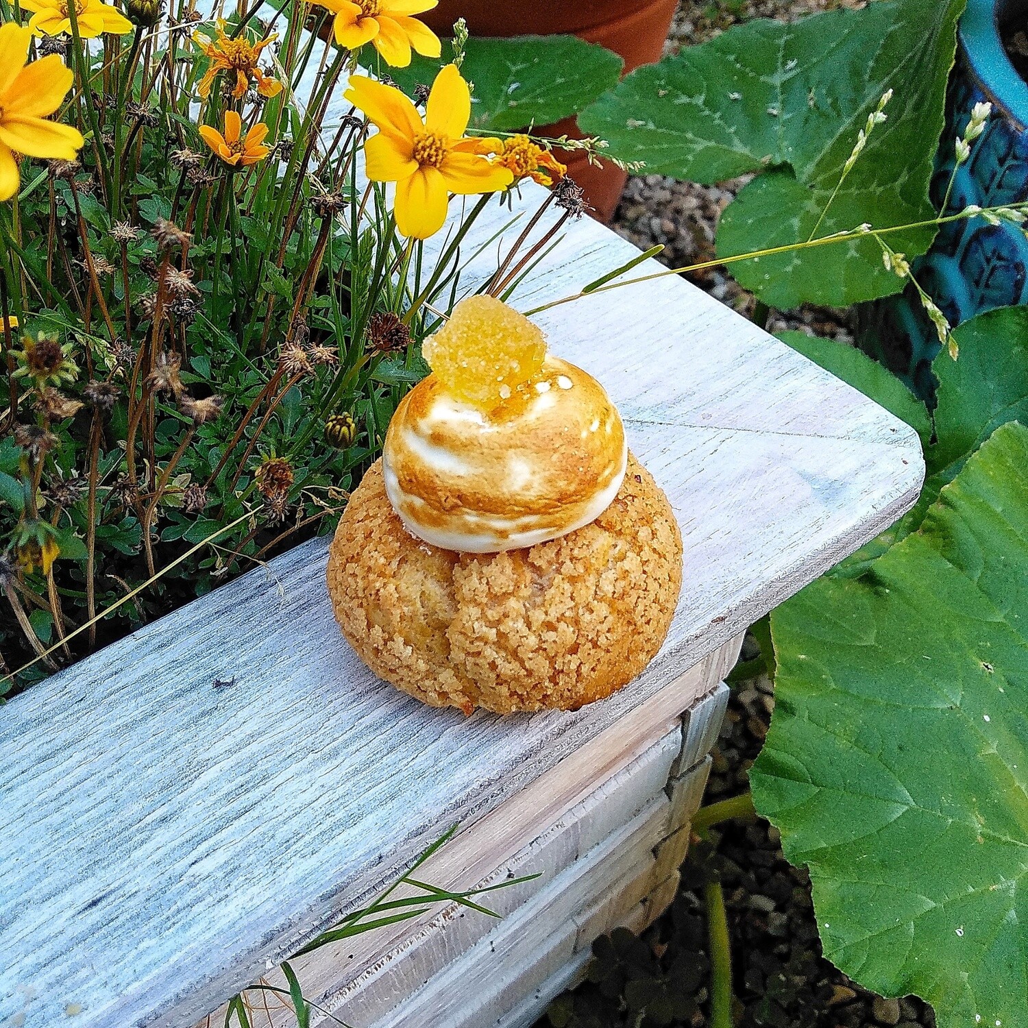 Choux Citron - Noisette Choux Citron - Noisette