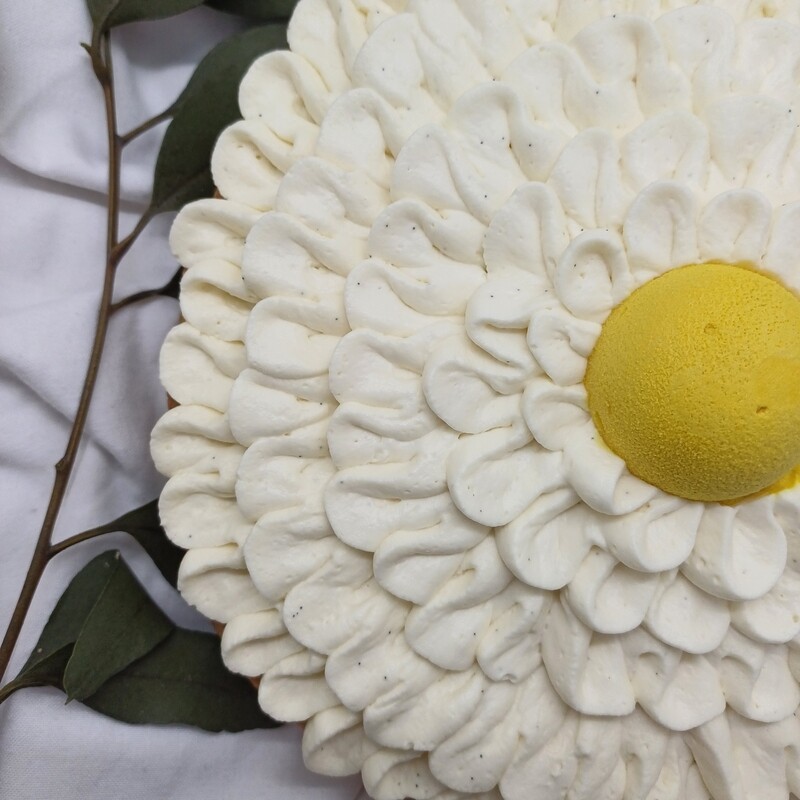 Tarte Pâquerette 6 personnes