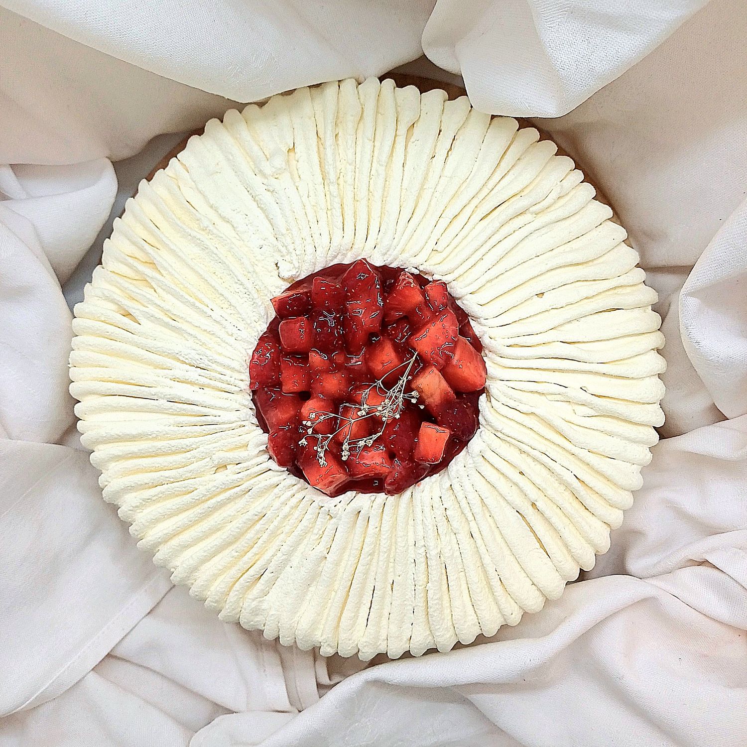 Fraisier 6 personnes