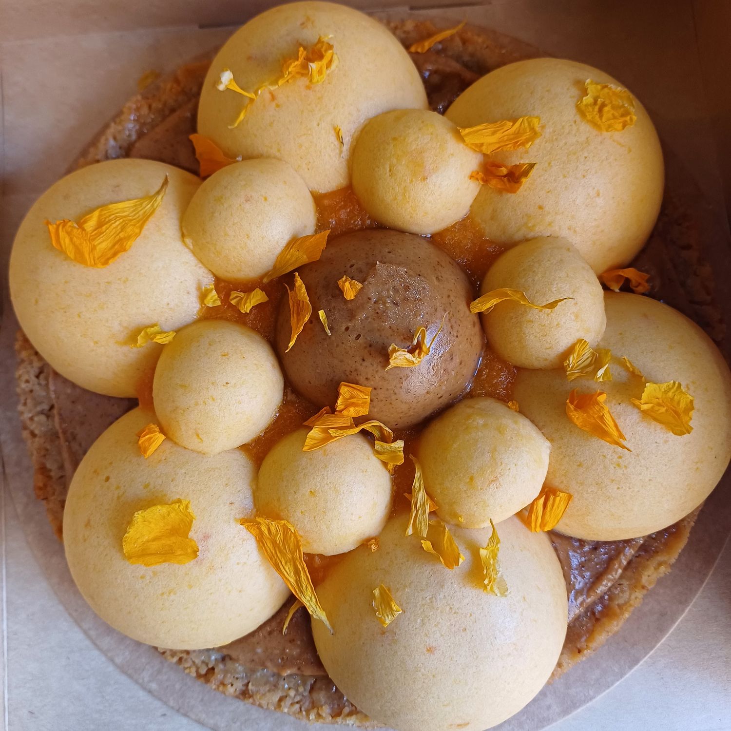 Abricajou 6 personnes