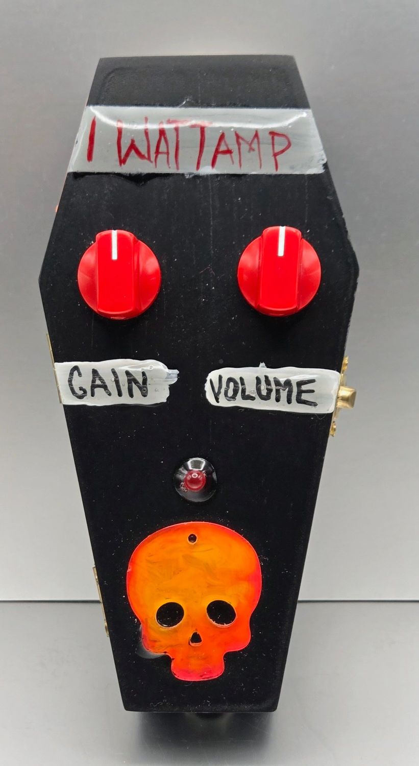 1 Watt Coffin Combo amp