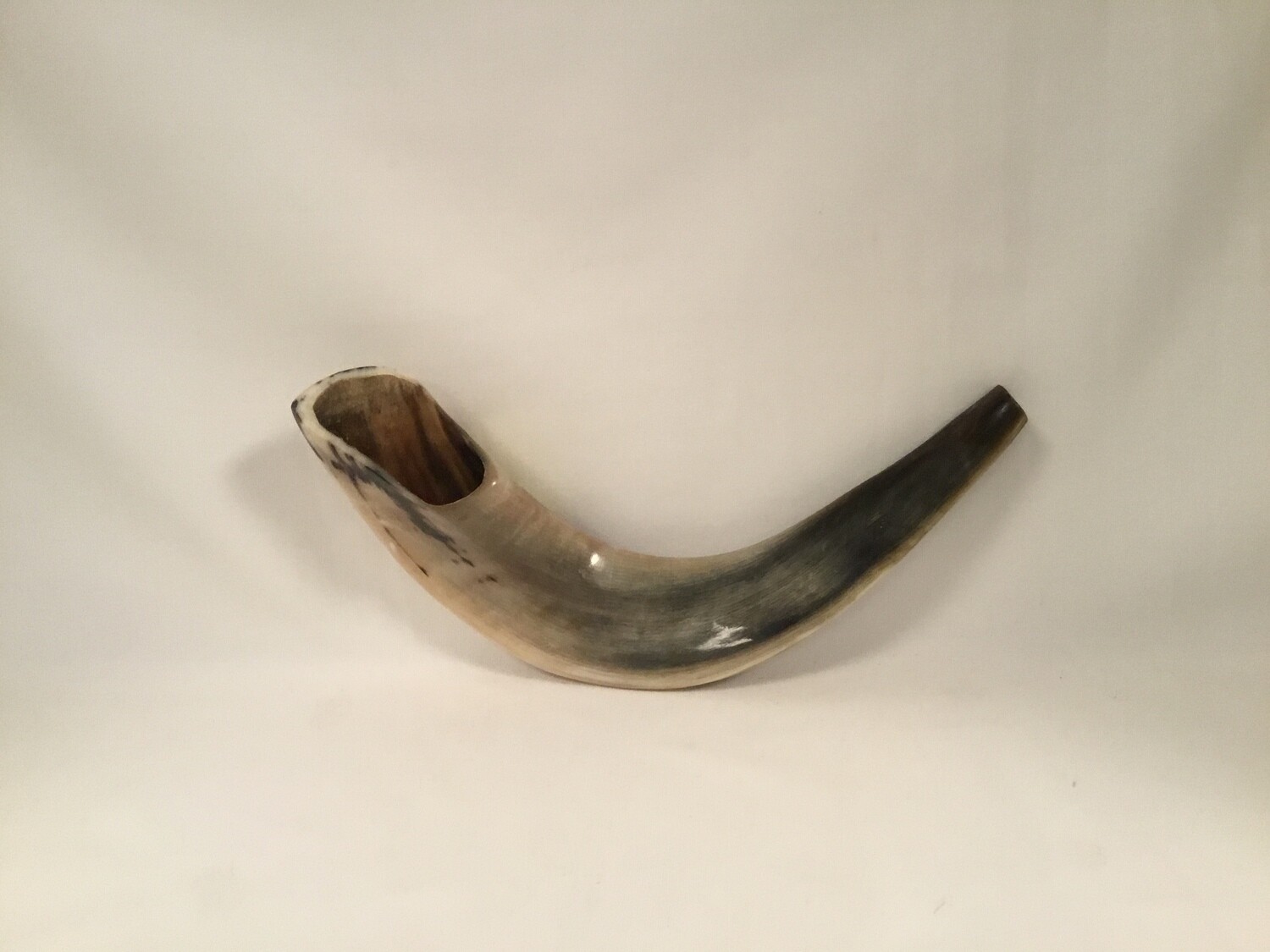 Ram&#39;s Horn Polished Shofar Medium