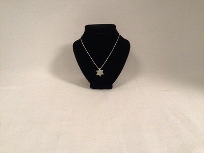Matte Finish Silver Star Necklace