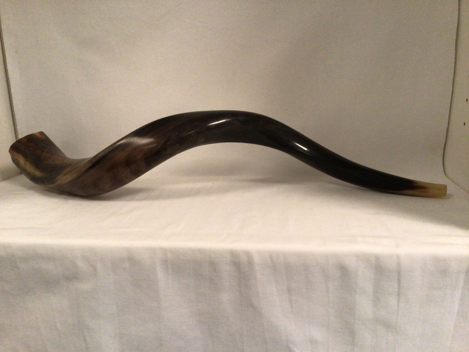 Polished Yeminite Shofar (dark)