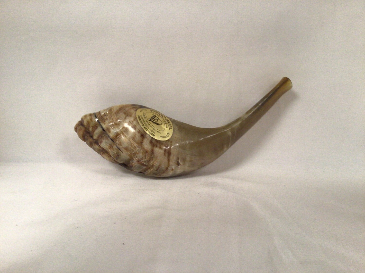 Beige Half Polished 13 Inch Shofar