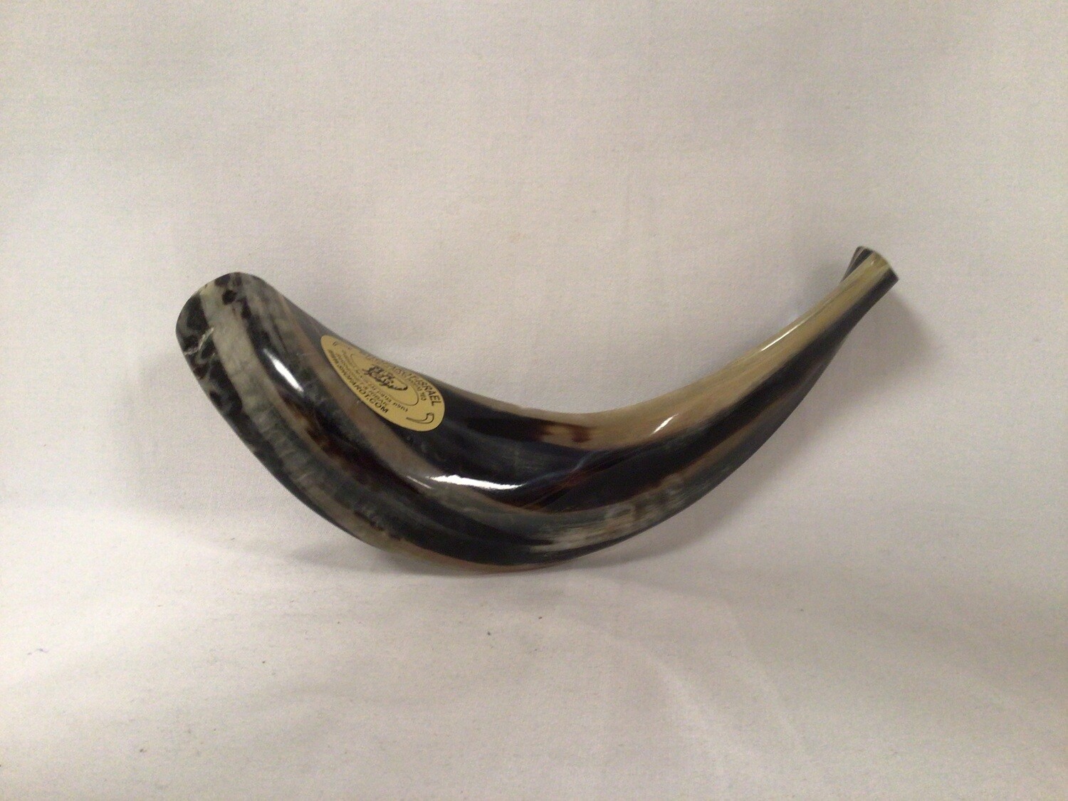 Black and Beige Polished 12 Inch Shofar