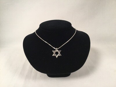 Stainless Steel Star of David Necklace on 20" box chain