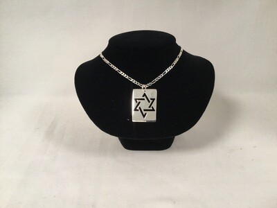Stainless Steel Dogtag Star of David Necklace on 24" Figaro Chain