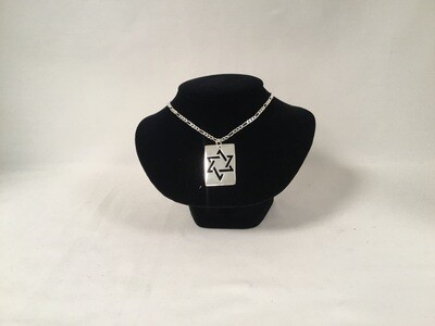 Stainless Steel Dogtag Star of David Necklace on 20” Figaro chain