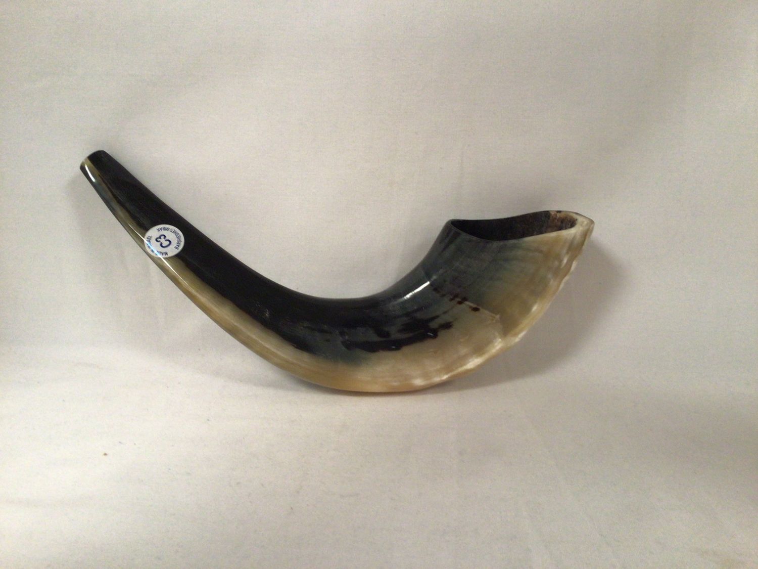 Black and Beige Polished Shofar