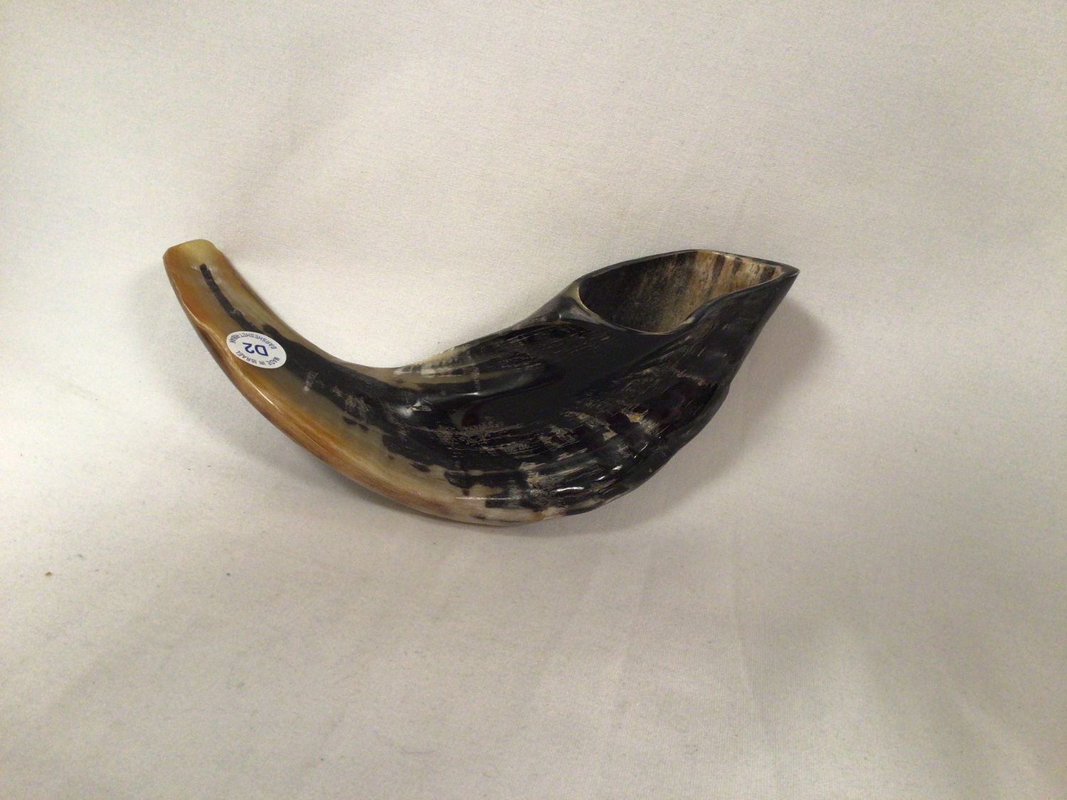 Black and Beige Half Polished Shofar 