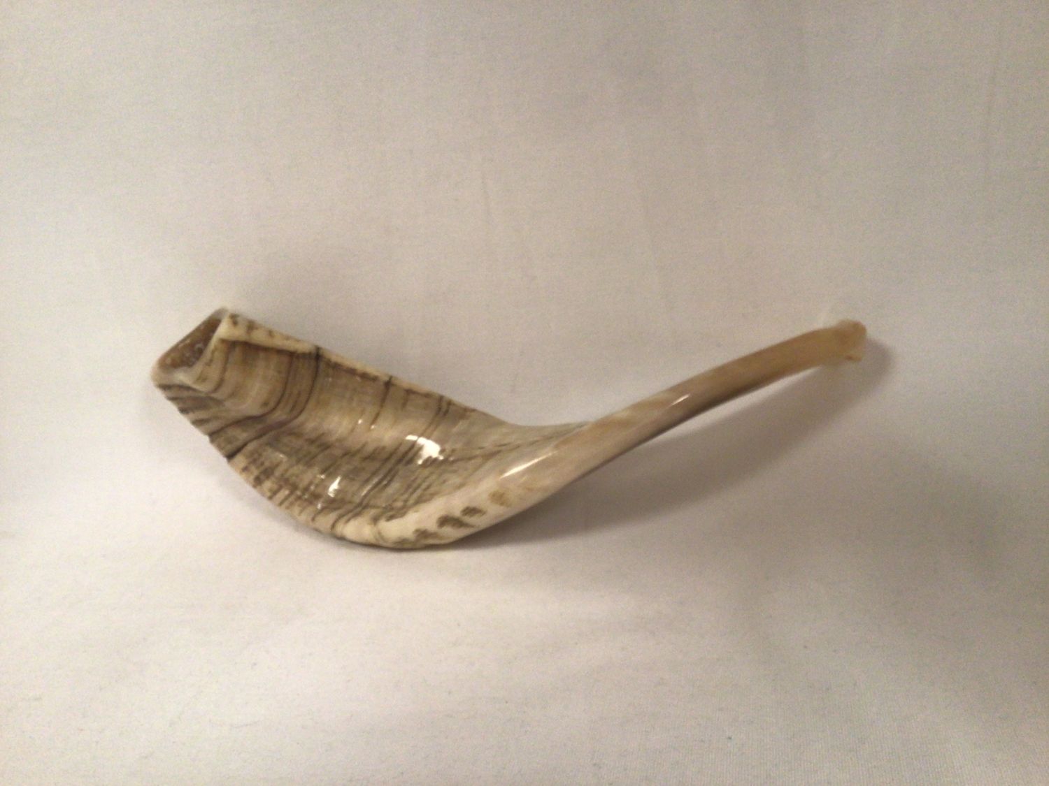 Half Polished Beige Shofar