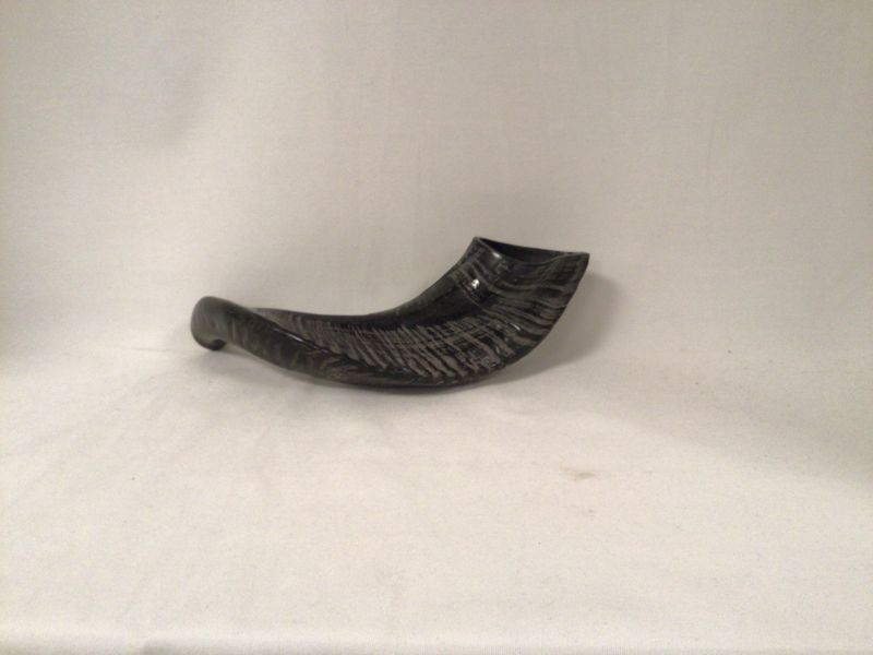 Polished Shofar Made in Israel-Black