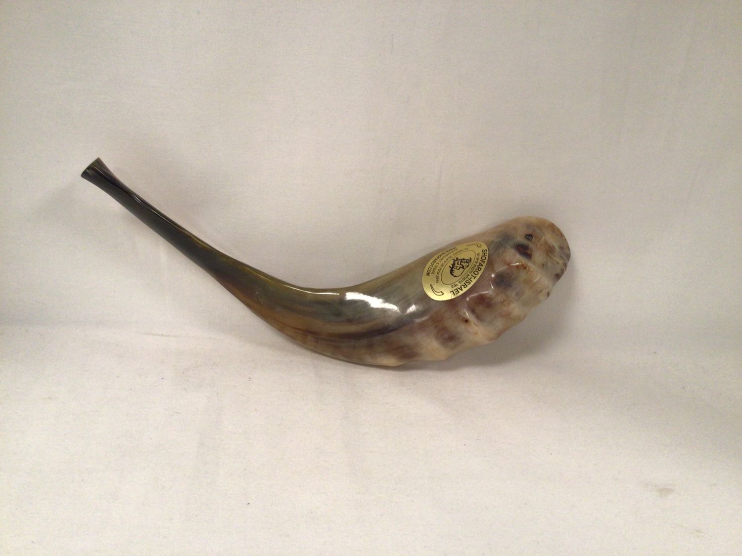 Dark and Light Polished Shofar 
