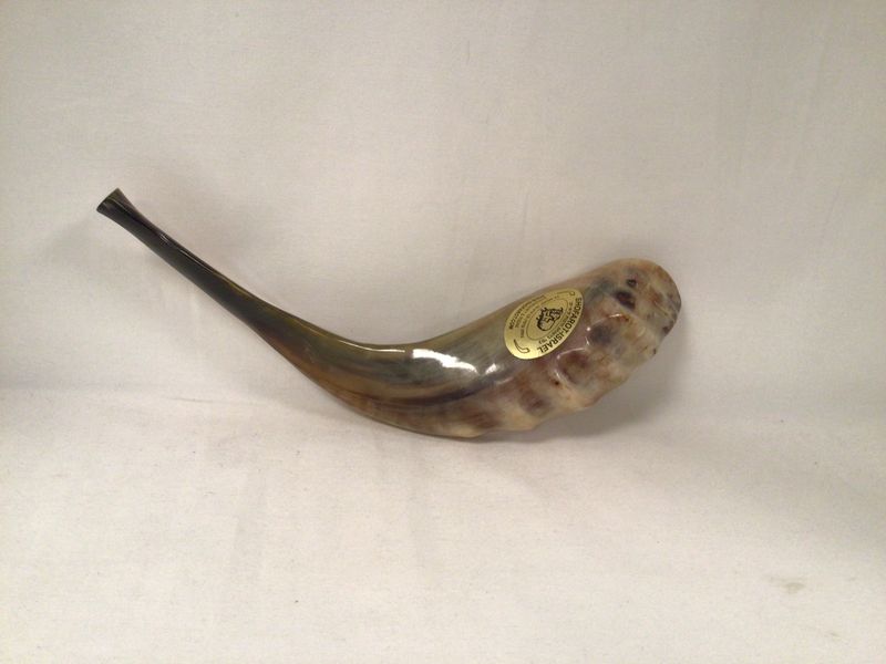 Dark and Light Polished Shofar 