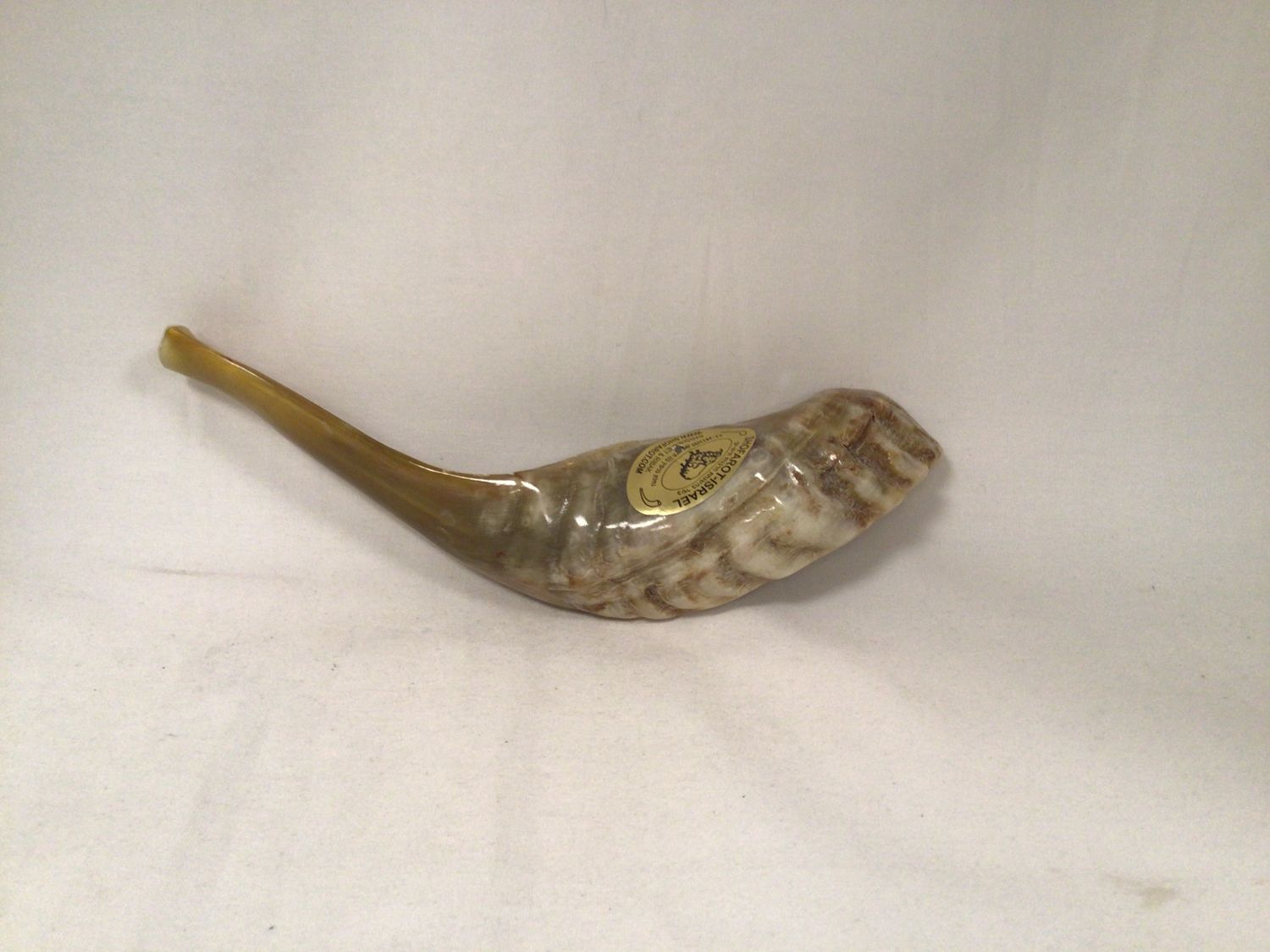 Light Beige Natural Shofar