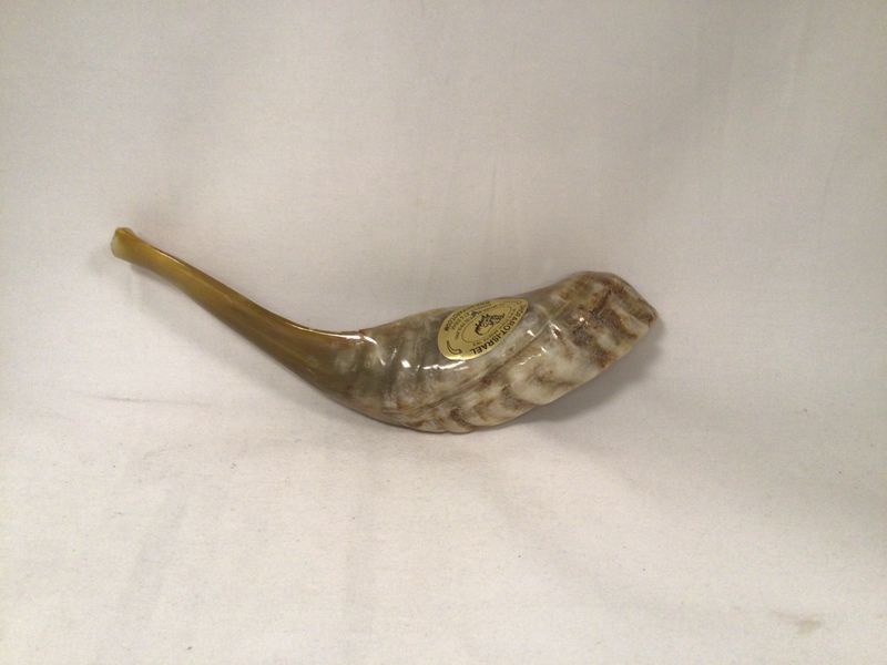 Light Beige Natural Shofar