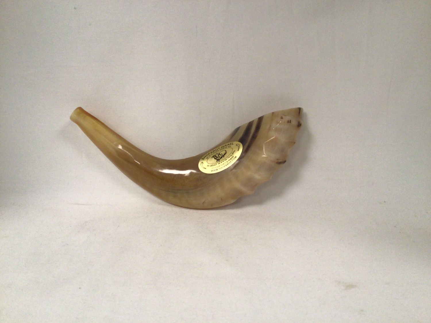 Polished Beige Shofar 