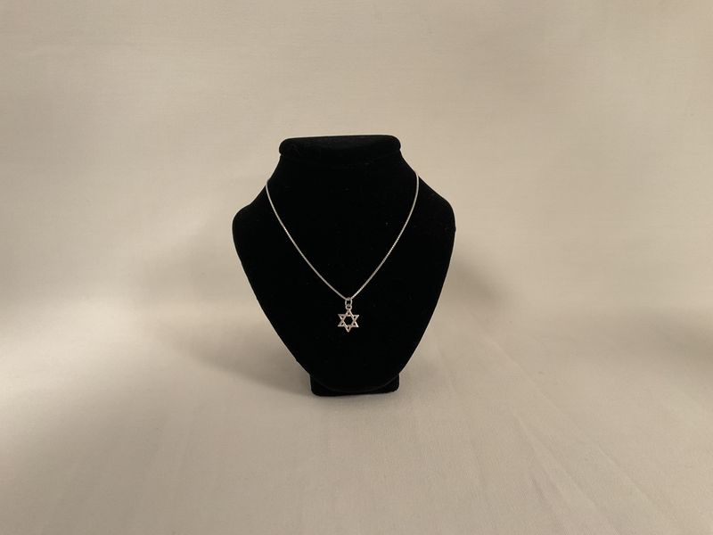 Sterling Silver Star of David Necklace on Box Chain