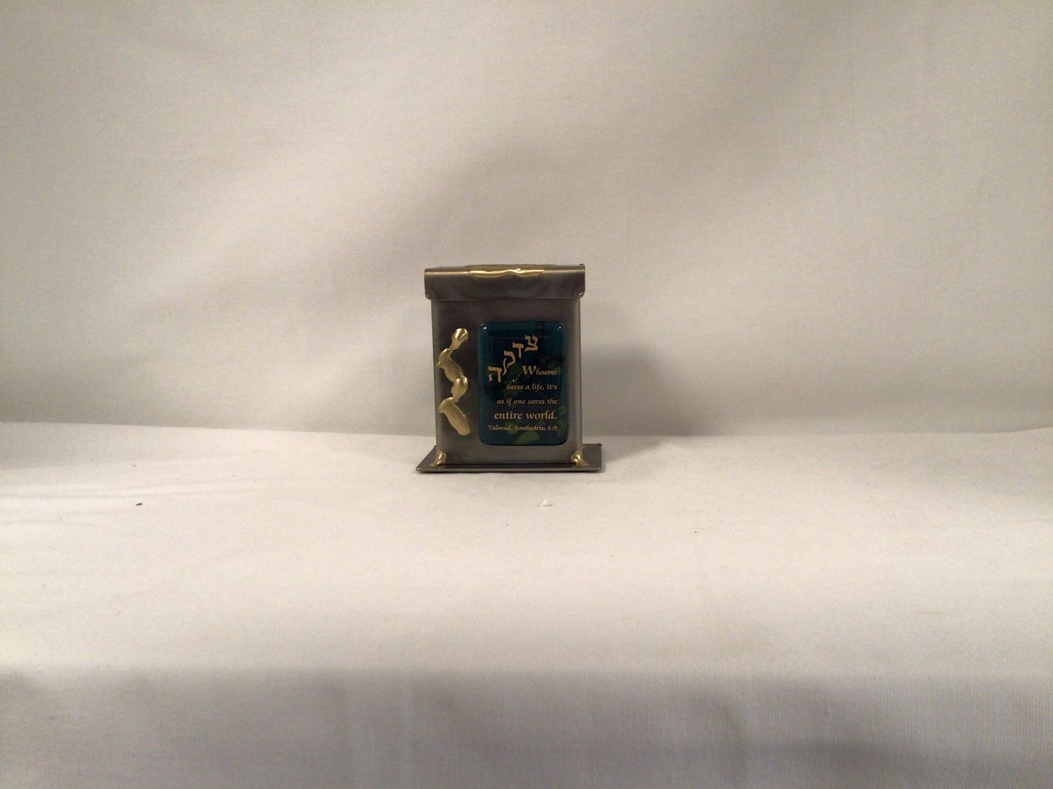 Small Saves a Life Tzedakah Box: Green