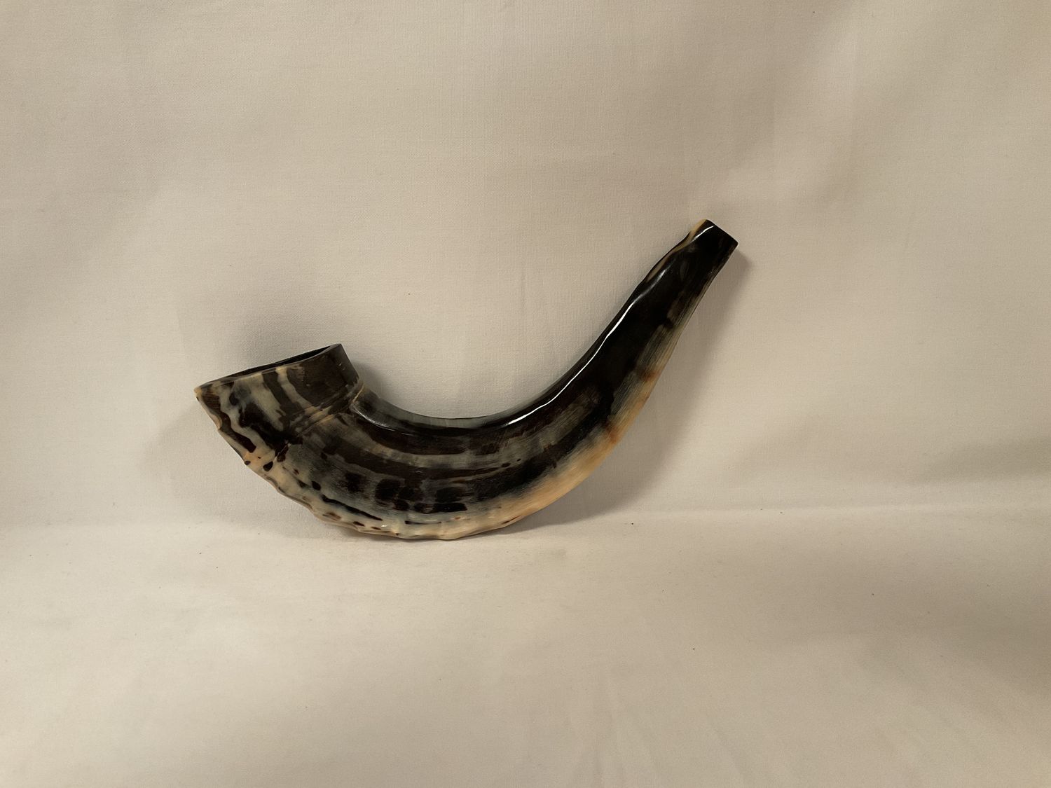 Israeli Polished Shofar (black/ cream) Israeli Polished Shofar (black/ cream)