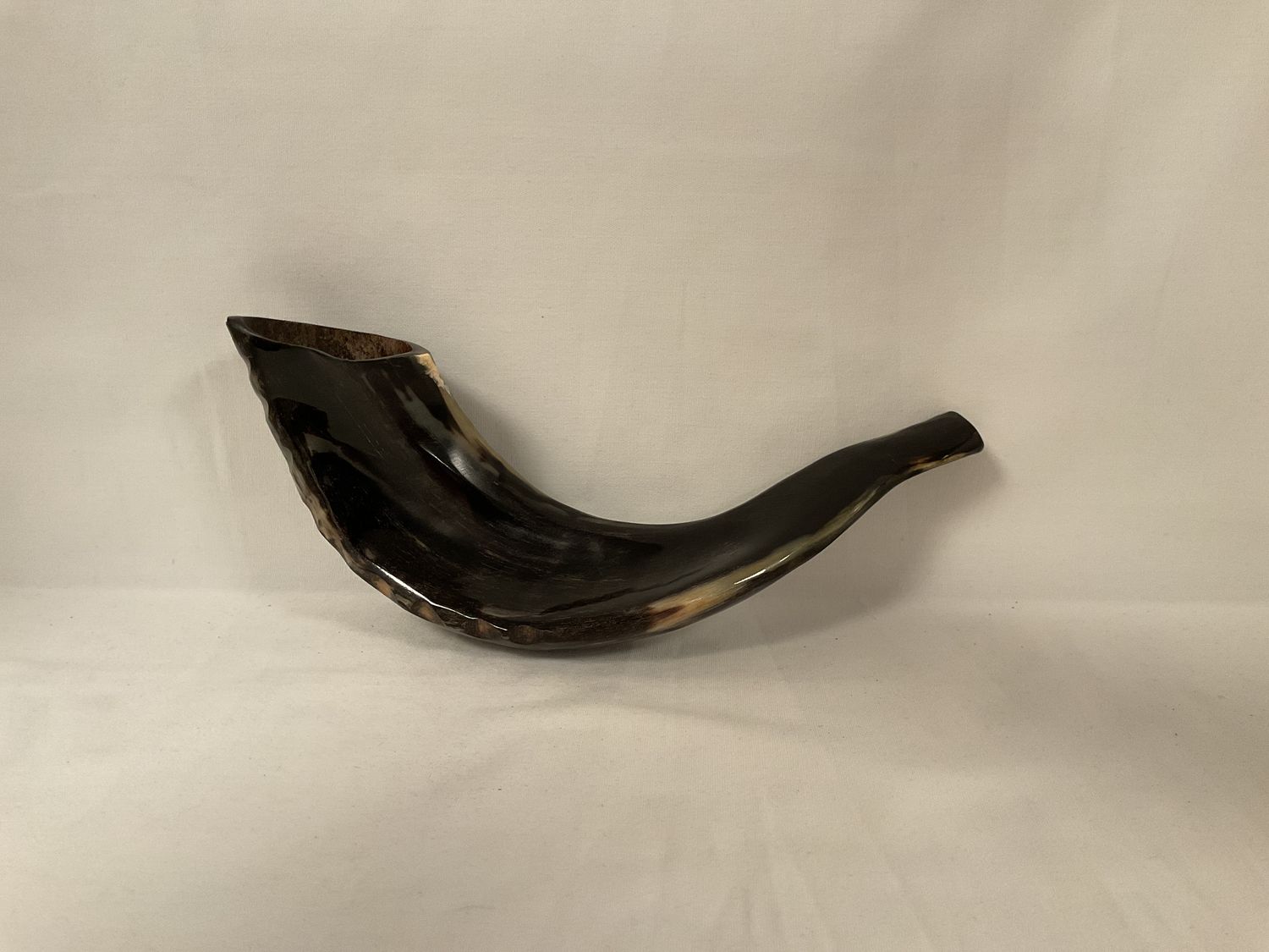 Black and Beige Polished Shofar Black and Beige Polished Shofar
