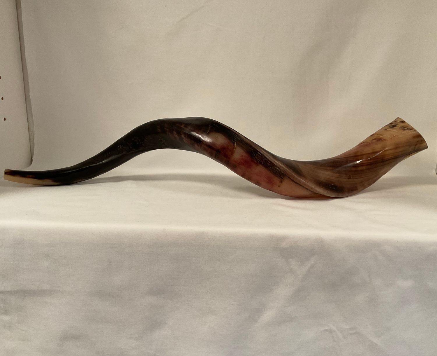 Polished Yemenite Shofar Polished Yemenite Shofar