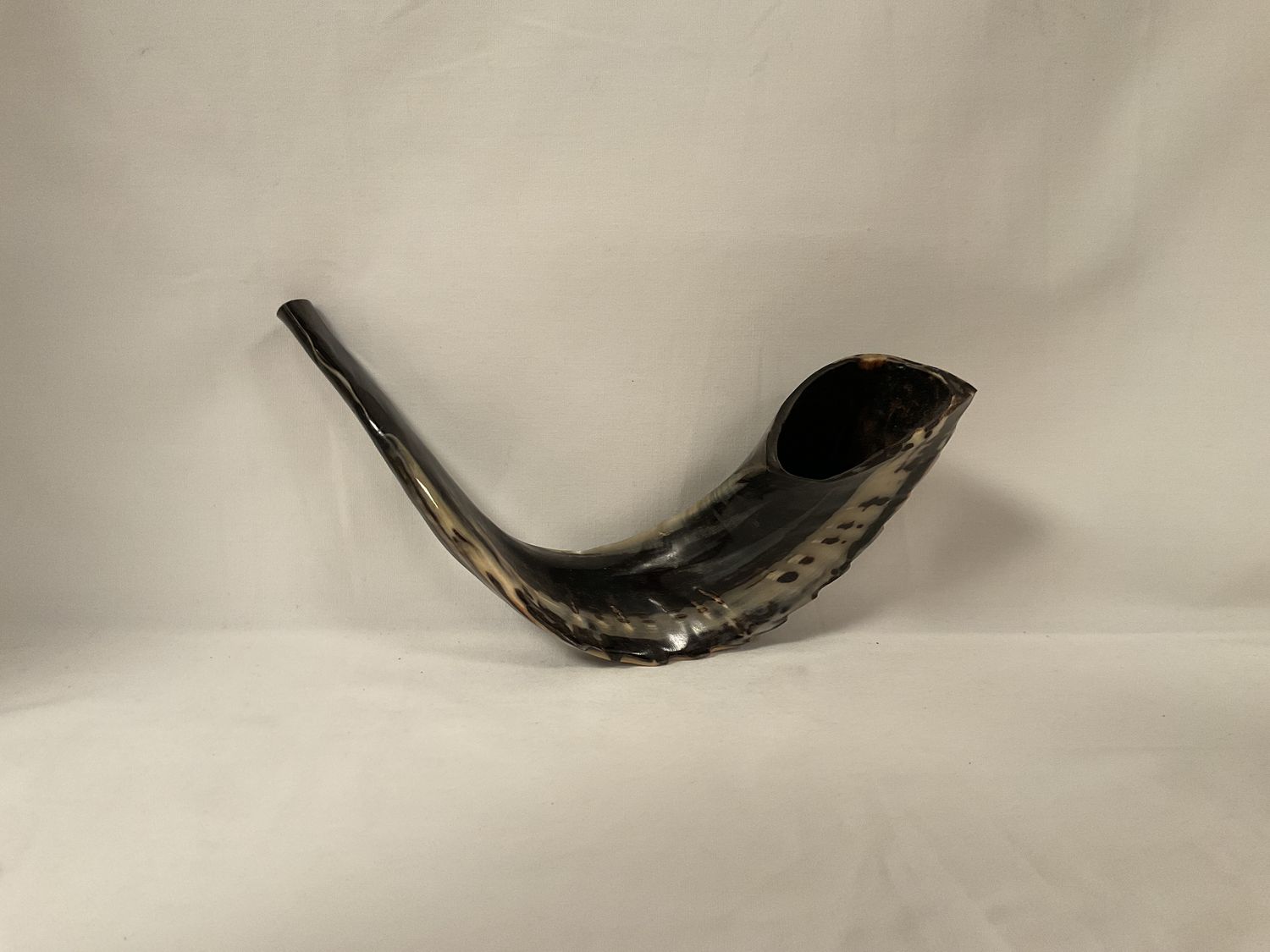 Medium Black and Beige Shofar Medium Black and Beige Shofar