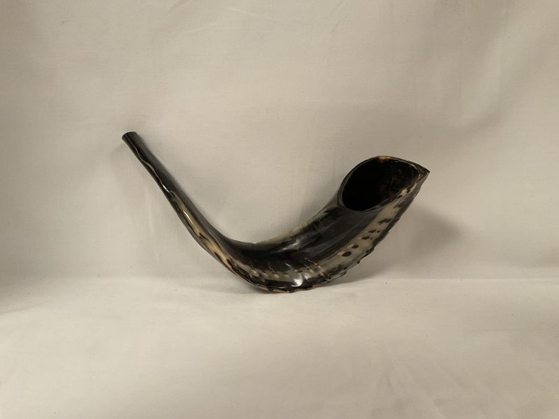 Medium Black and Beige Shofar Medium Black and Beige Shofar