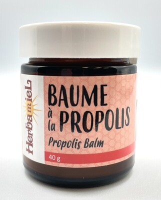 Baume 40g - Propolis