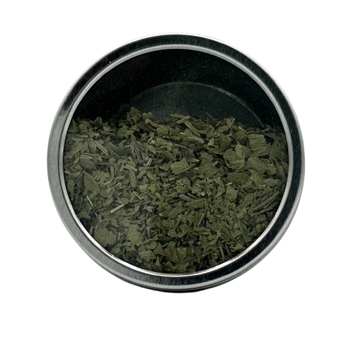 Persil de mer (Livèche écossaise)