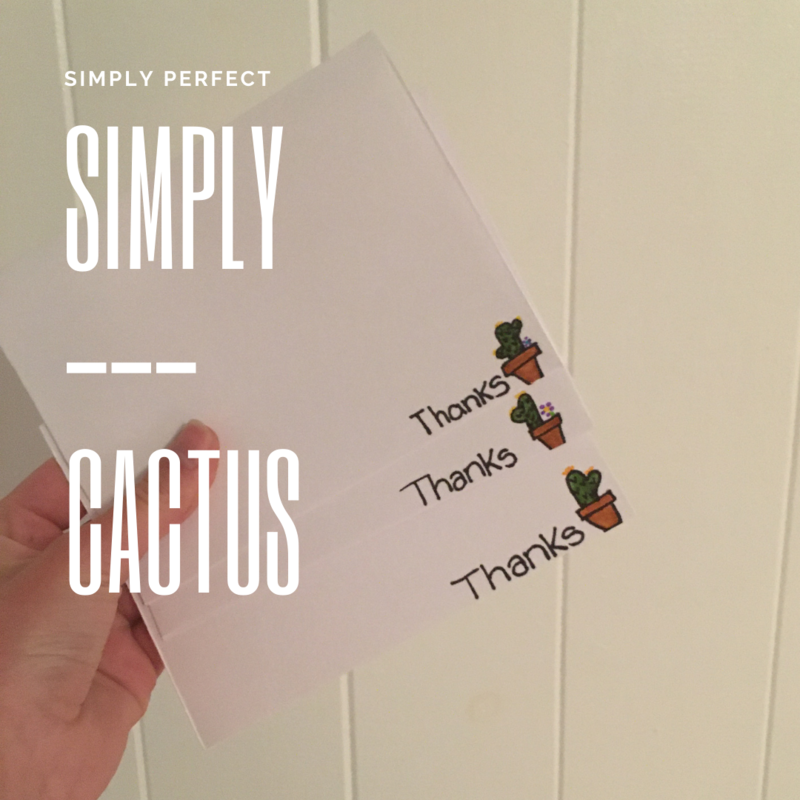 Simply Cactus(Three-Pack)