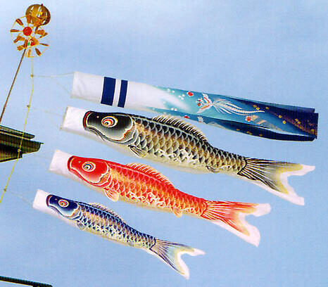 Koinobori famiry 1.5m complete set Sho-yu