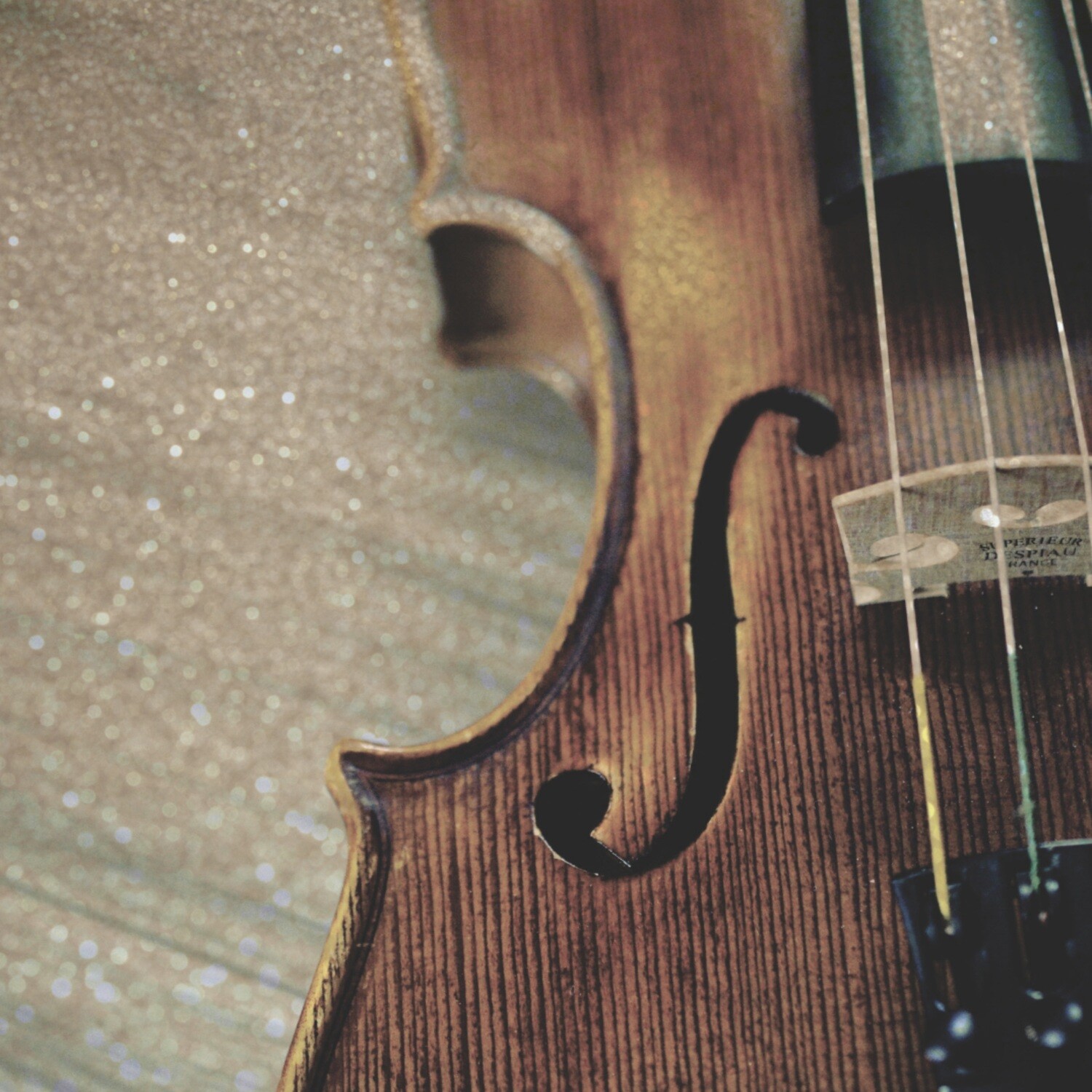 Startled Strings