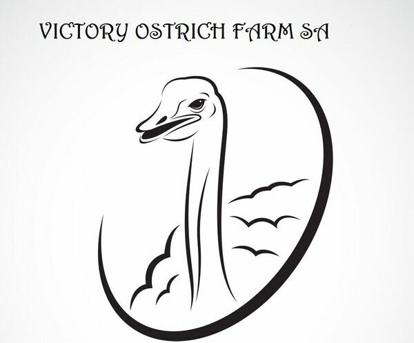 family ostrich farm sa