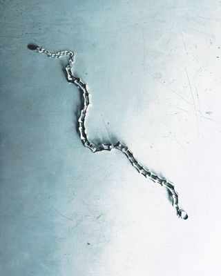 Bones - 001