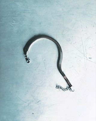 Snake -003