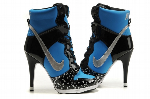 Afkeer Verloren hart toetje Womens Nike Dunk SB High Heels