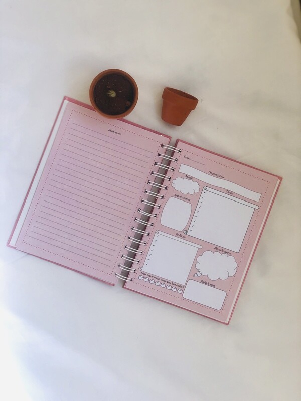 Eternal Sunshine Journal