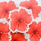 Amapola Sticker- Red