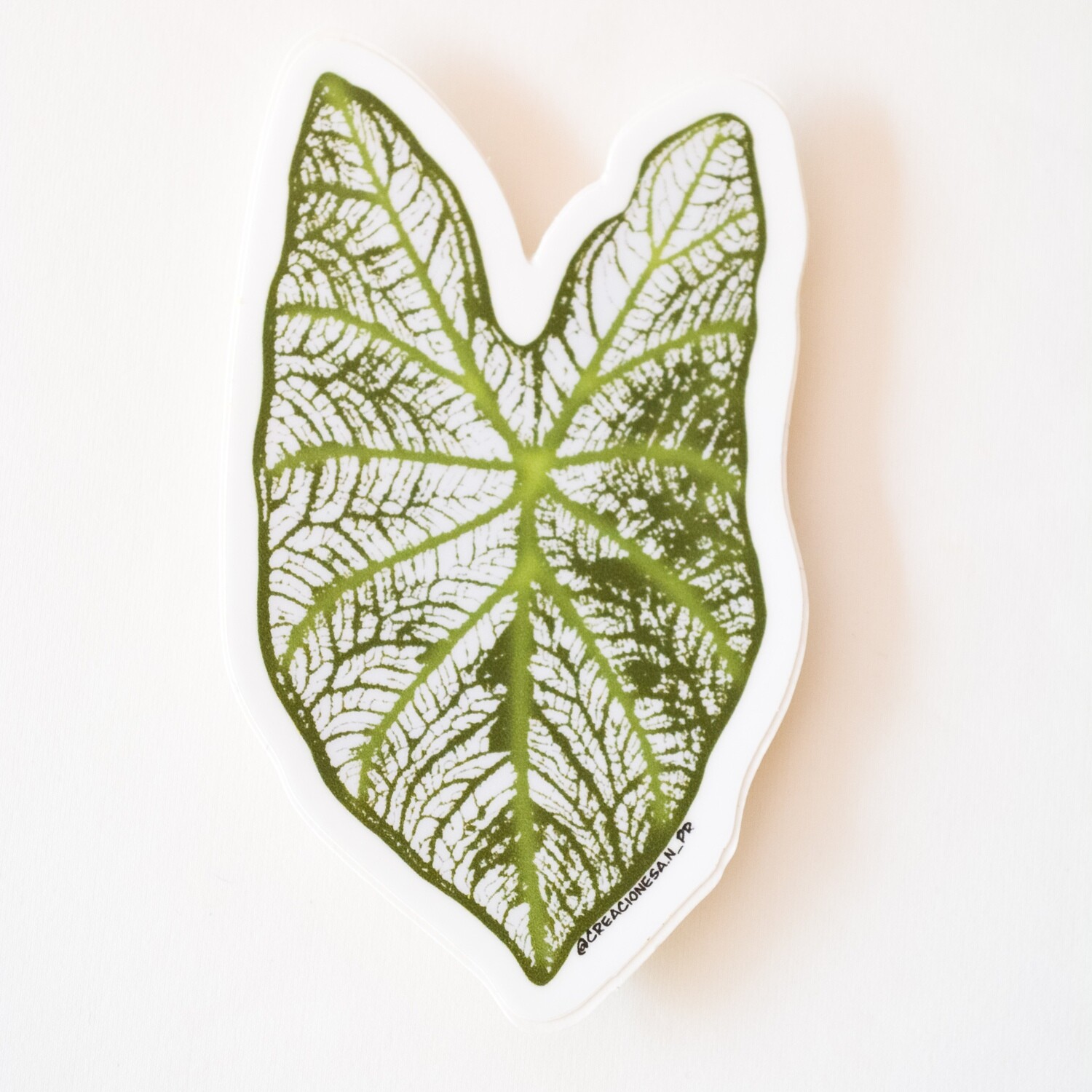 Caladium leaf sticker