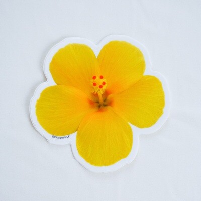 Amapola Sticker- Yellow