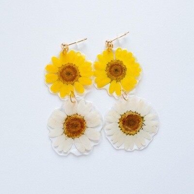 Yellow & White Daisy Earrings