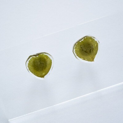 Leaf Studs