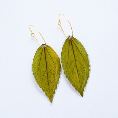 Amapola Leaf Hoop Earrings
