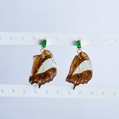 Brown wing earrings