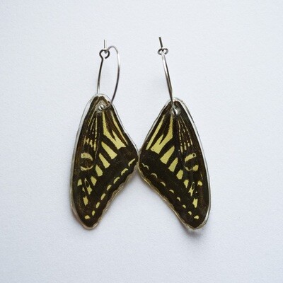 B/W Butterfly Wing Hoop Earrings