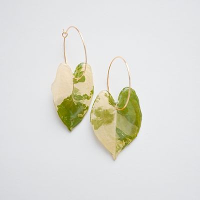 Alocasia leaf earrings