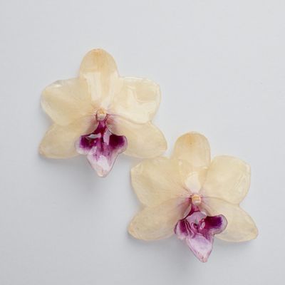 Orchid Earrings
